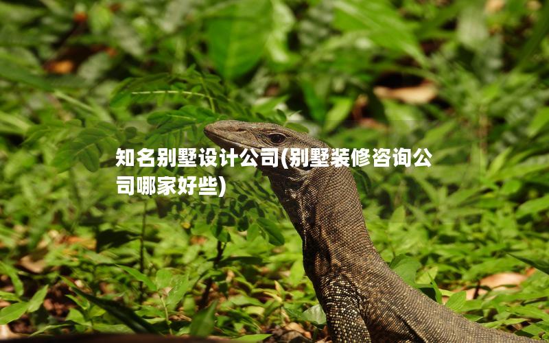 知名別墅設計公司(別墅裝修咨詢公司哪家好些) 知名別墅設計公司(別墅裝修咨詢公司哪家好些)